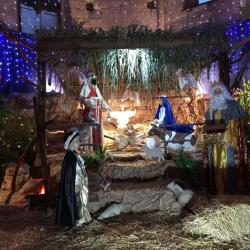 Fééries De Noël
