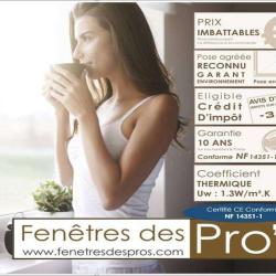 Fenêtres Des Pro's