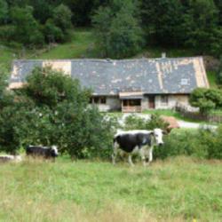 Ferme - Auberge Du Hinterafeld