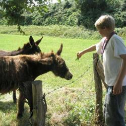 Ferme Auberge Auzkia