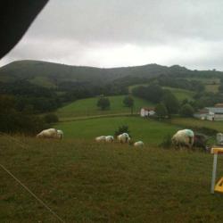Ferme Bachoc