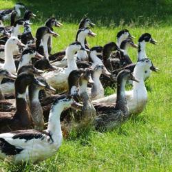Ferme De Beauregard