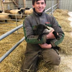 Ferme De Briquesard - Viande Agneau
