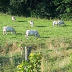Ferme De Champgarnier