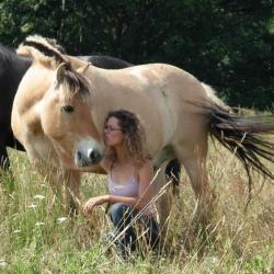 Ferme De Chanteble