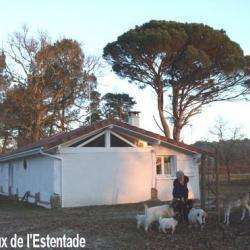 Ferme De Chourdens
