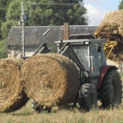 Ferme De Fond Malot