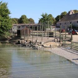 Ferme De Gally