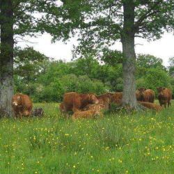 Ferme De La Lande