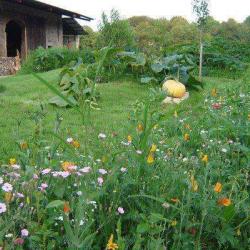 Ferme De La Noue