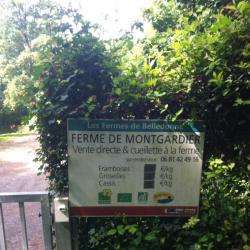 Ferme De Montgardier