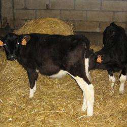 Ferme Des 4 Saisons