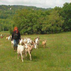 Ferme Des Amis