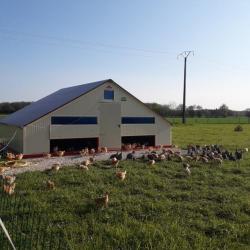 Ferme Des Grandes Guignières - Gasnier