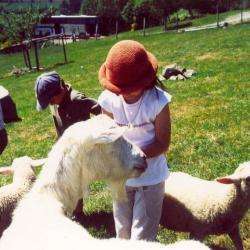 Ferme Des Loupiots