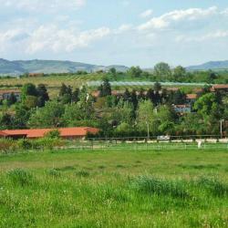 Ferme Du Batailly