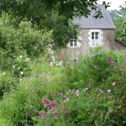 Ferme Du Gros Mesnil