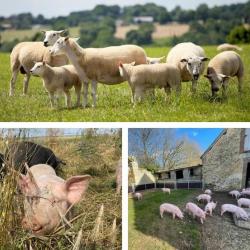 Ferme Durbois