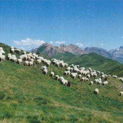 Ferme Elizabea