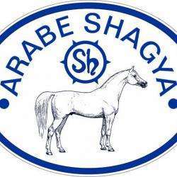 Ferme équestre Du Shagya