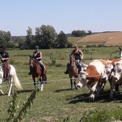 Ferme Equestre Du Vallon