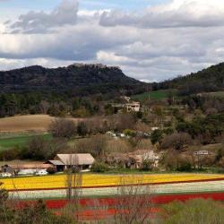 Ferme Equestre Et Gîte Rural Les Coccinelles