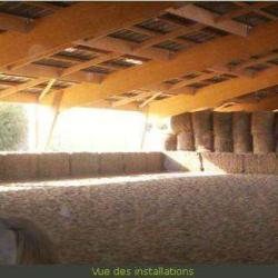 Ferme équestre Et Pension Chevaux