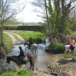 Ferme Equestre La Pichardière