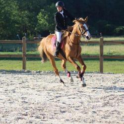 Ferme Equestre De Massiat