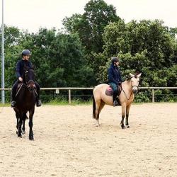 Ferme Equestre Sesame Services