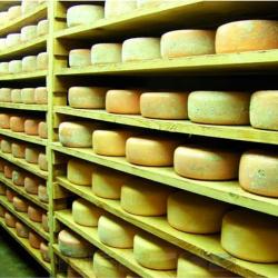 Ferme Guedot