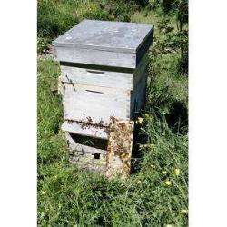 Ferme Le Rucher