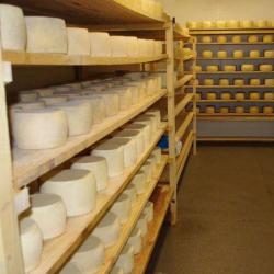 Ferme Mendialde