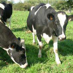 Ferme Pédagogique D'andard
