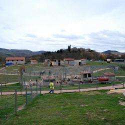 Ferme Pedagogique D'antan