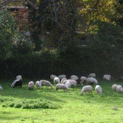 Ferme Pédagogique De La Tour Des Pins