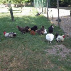 Ferme Pédagogique