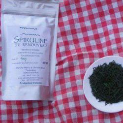 Ferme Spiruline & Lamas