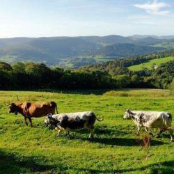 Ferme Surcenord
