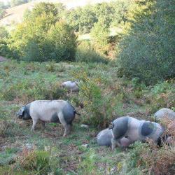 Ferme Uhaldea