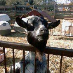 Ferme Zoo De Bouzigues