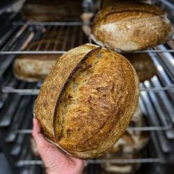 Ferments Bakery