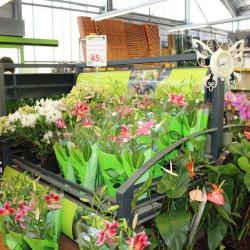 Fermes Et Jardins