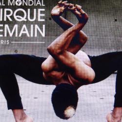 Festival Mondial Du Cirque De Demain