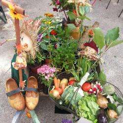 Fête De La Brouette