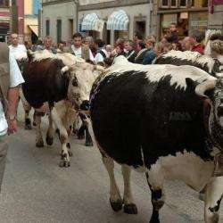 Fête De La Transhumance