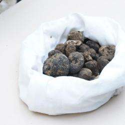 Fête De La Truffe