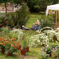 Fête Des Fleurs, Saveurs Et Artisanat