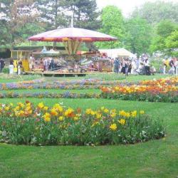 Fête Des Tulipes