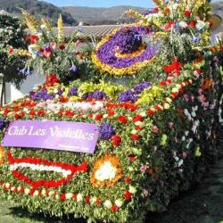 Fête Des Violettes